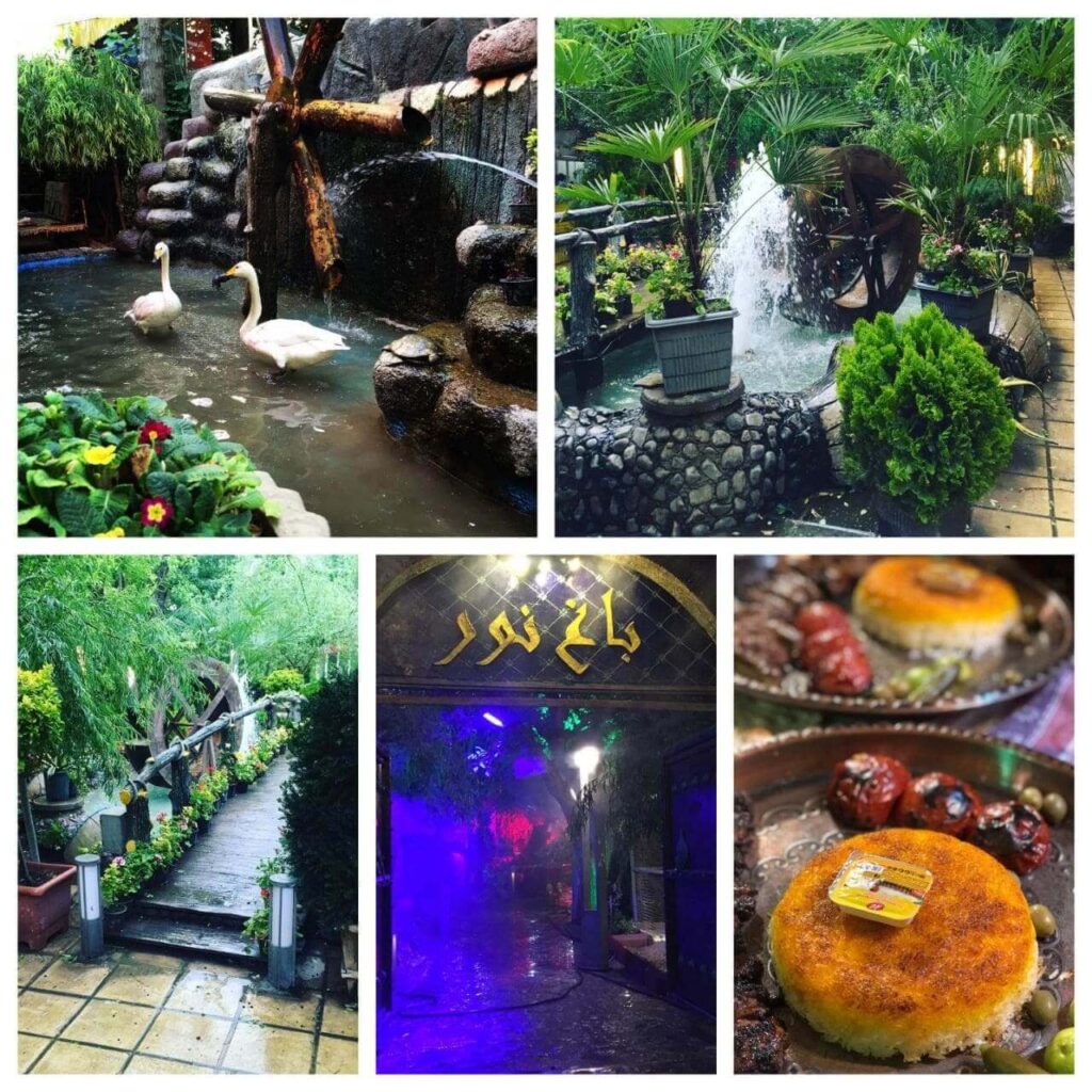 باغ رستوران نور با آبشار مصنوعی و پرنده