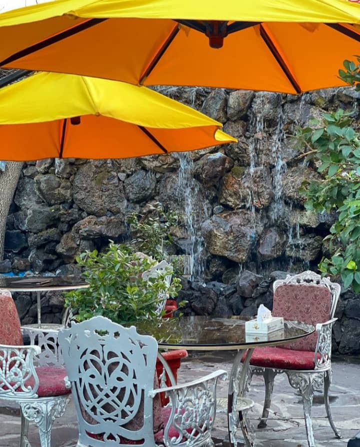 فضای باز باغ رستوران طبیعت