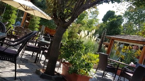 رستوران دورهمی