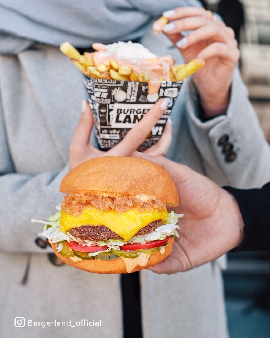 سیب زمینی و برگر در برگرلند اندرزگو