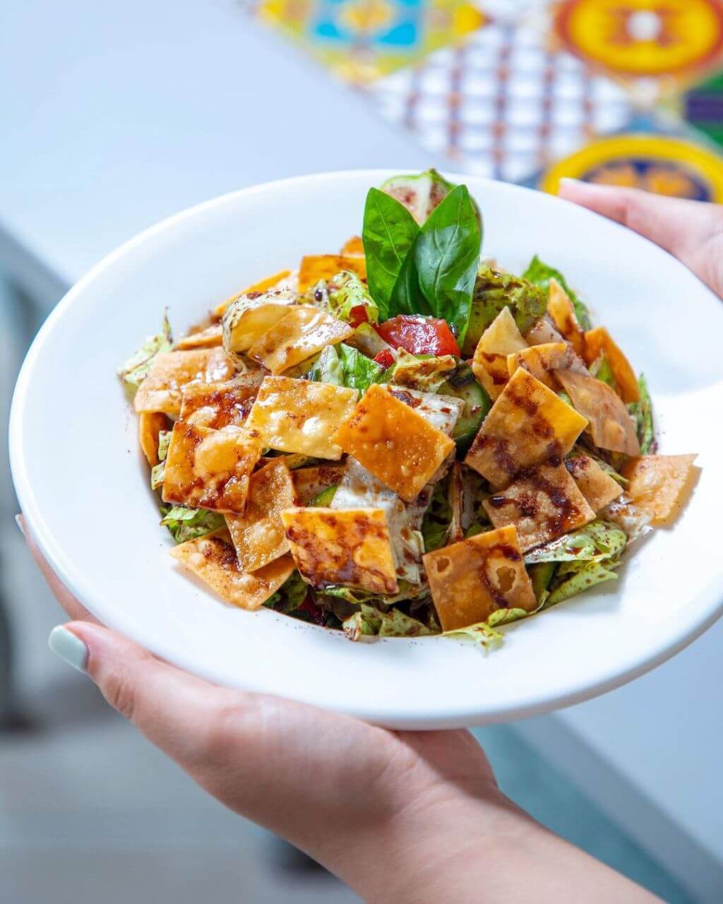 رستوران مهنا با بهترین غذاهای لبنانب در تهران