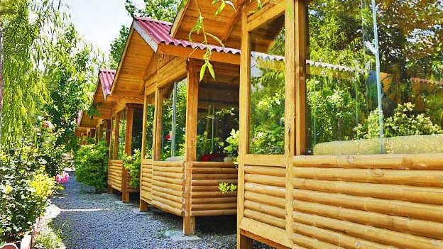 فضای داخلی اکبر جوجه گل یخ