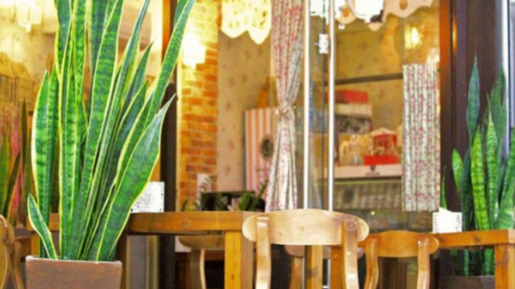 فضای داخلی کافه لوشانه تجریش