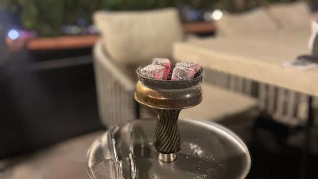 دلسا لانژ پاسداران