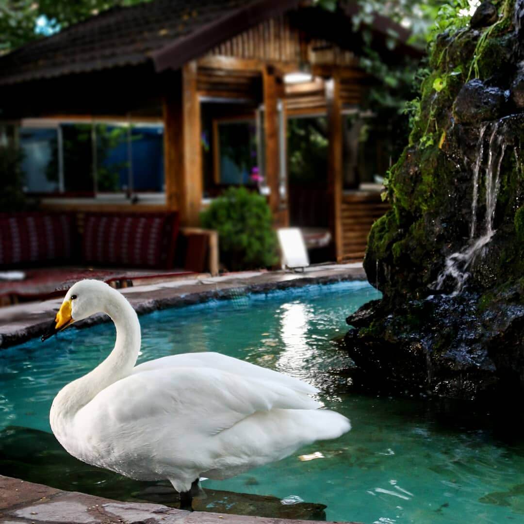 فضای دلنشین بهترین رستوران در کن