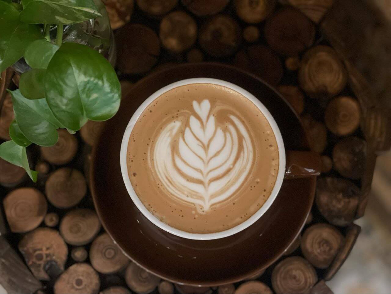 کافه های خیابان فلسطین