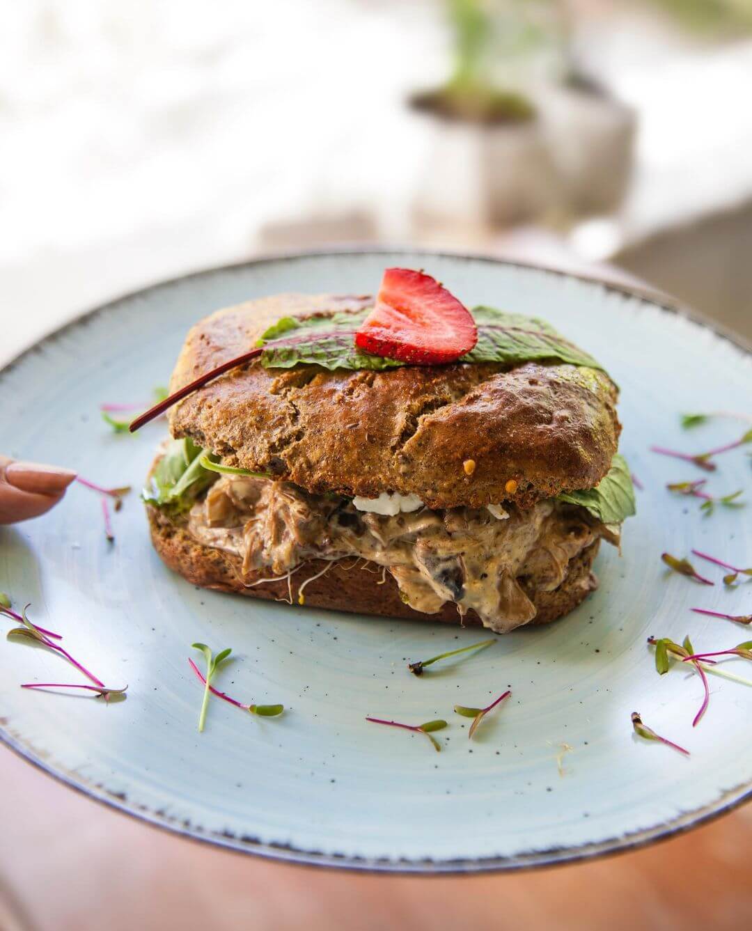 میان وعدههای کافه کتاب واحه