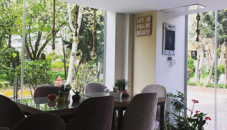 کدام رستوران و کافه ونک پارک محبوب‌تر است؟