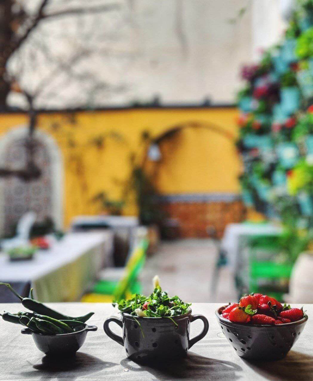 کافه گالری سرامیک فرزانه