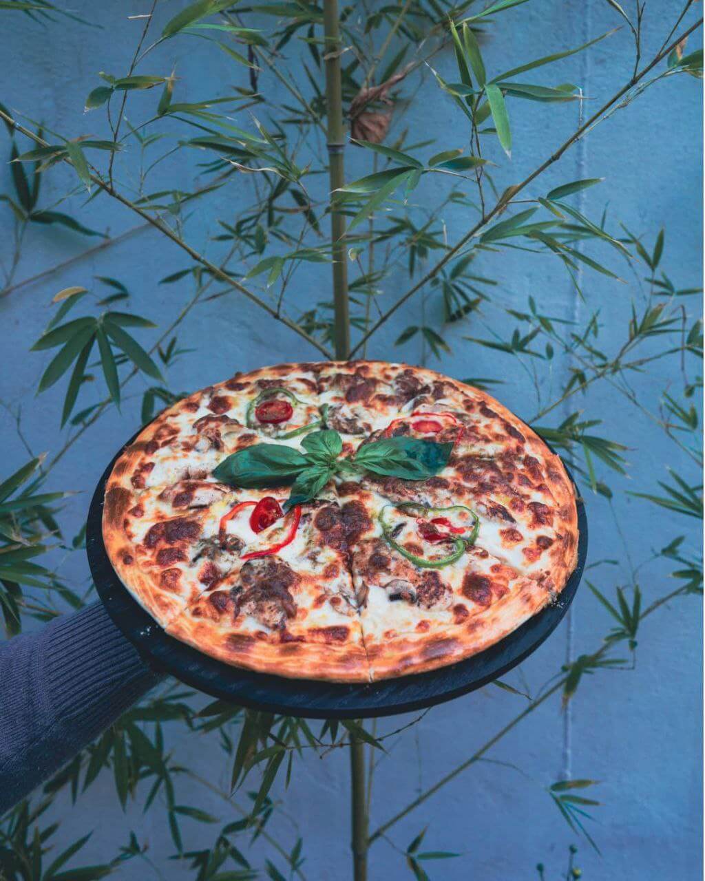 پیتزاهای کافه گالری هاگ