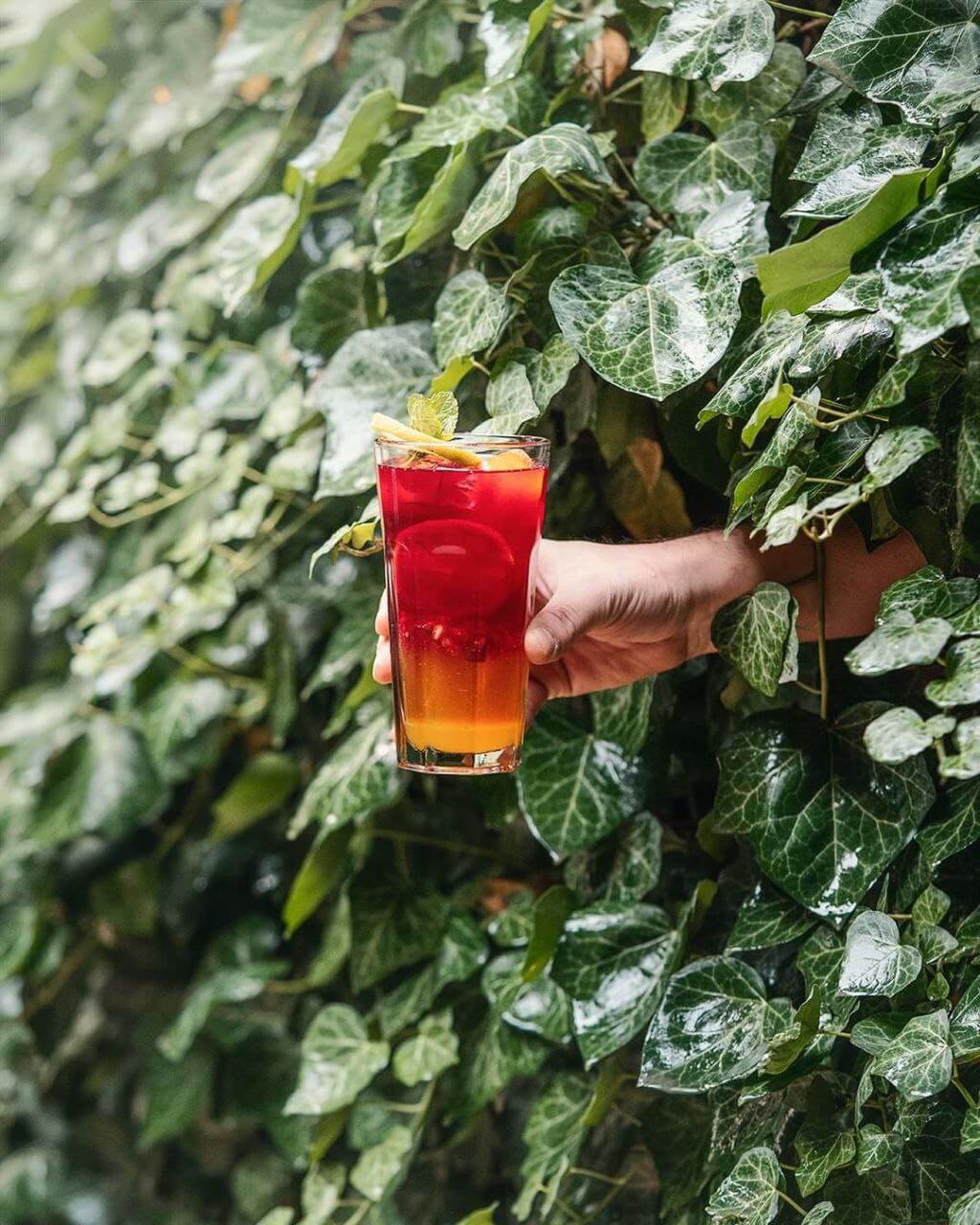 نوشیدنی‌های خنک در کافه گالری هاگ