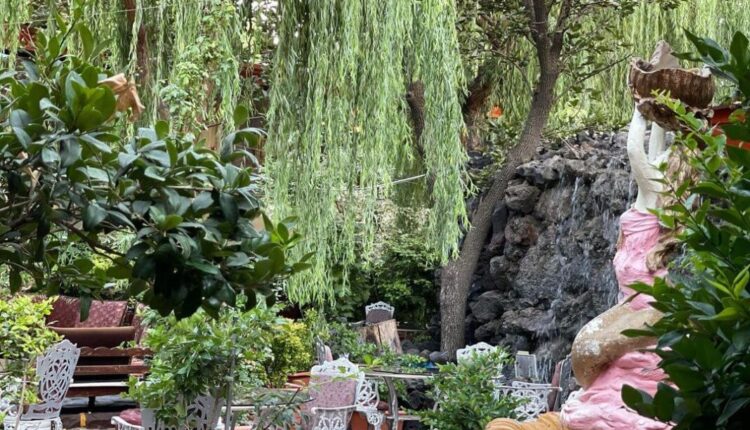 تجربه آرامشی دلپذیر در چند باغ رستوران شهران