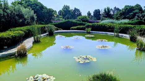 باغ گیاه شناسی تهران
