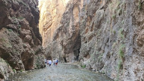 تنگه واشی
