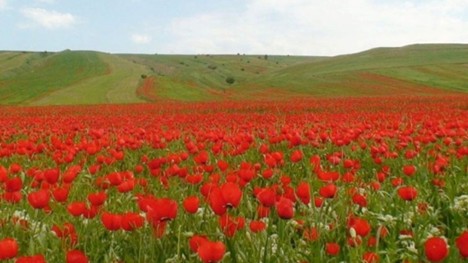 طبیعت جاده شیراز کازرون