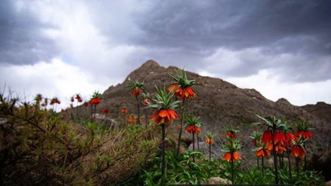 طبیعت خوانسار