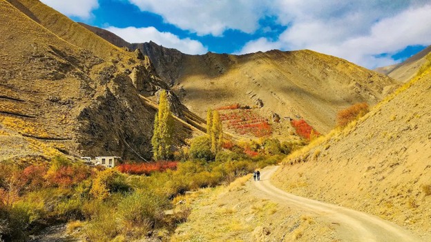 روستای آهار