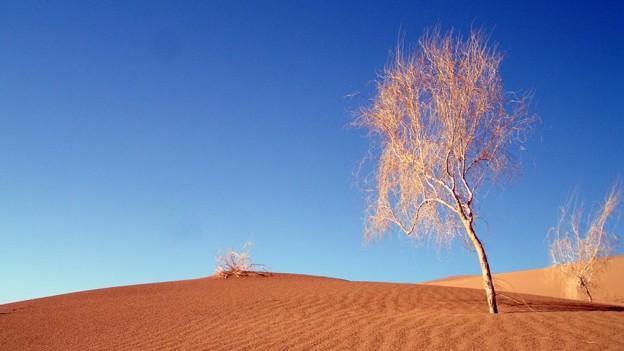 کویر مصر